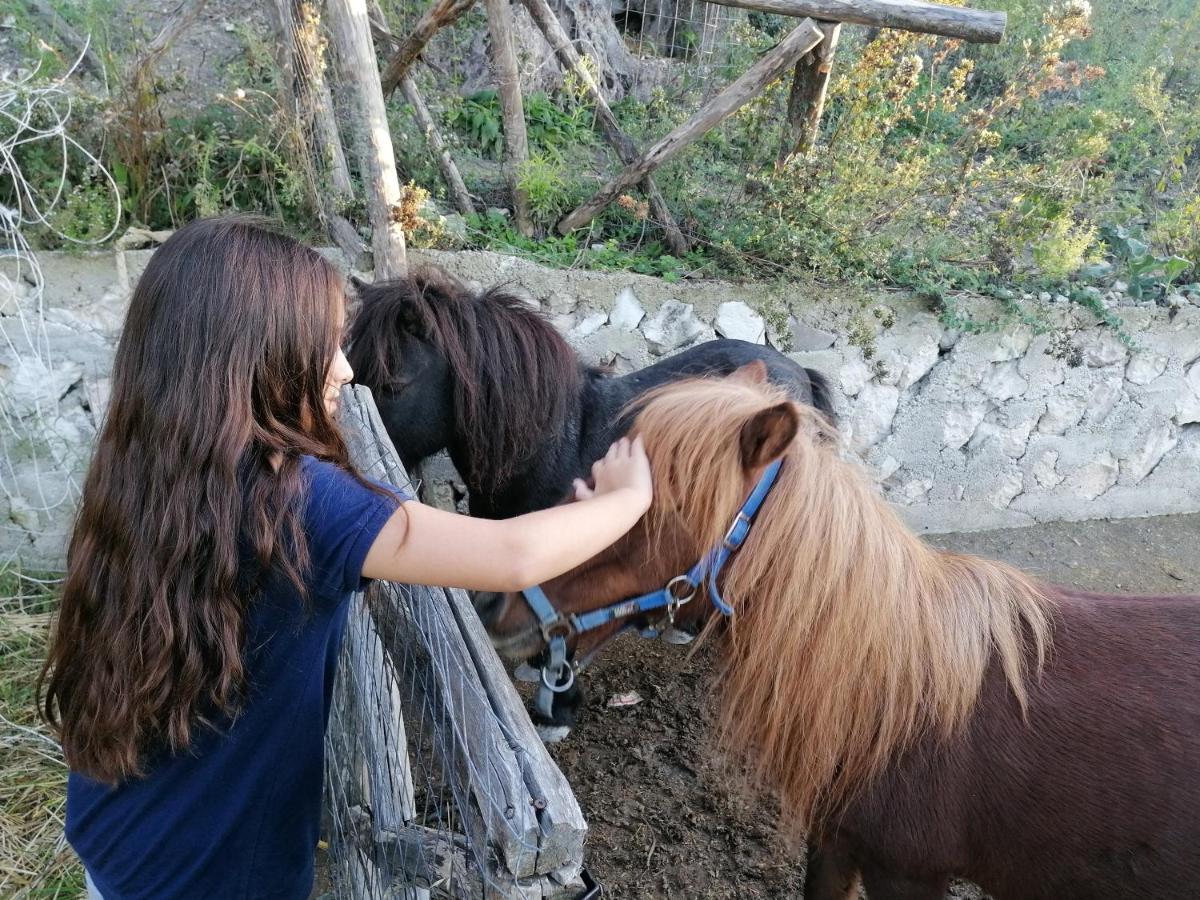 פסקיצ'י Agriturismo Valle Dei Gelsi מראה חיצוני תמונה